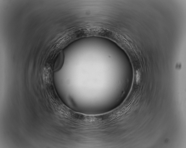 X0000100941059200807011240