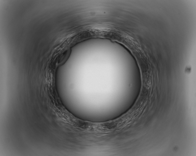 X0000100941061200807011240