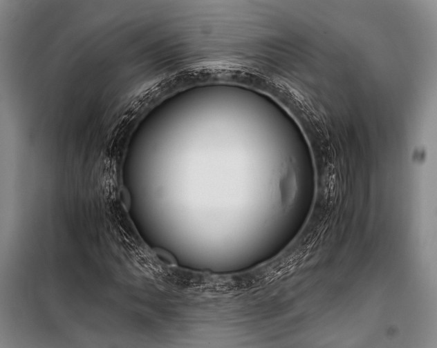 X0000100941062200807011240