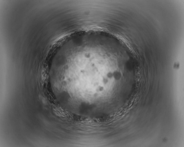 X0000100941063200807011240