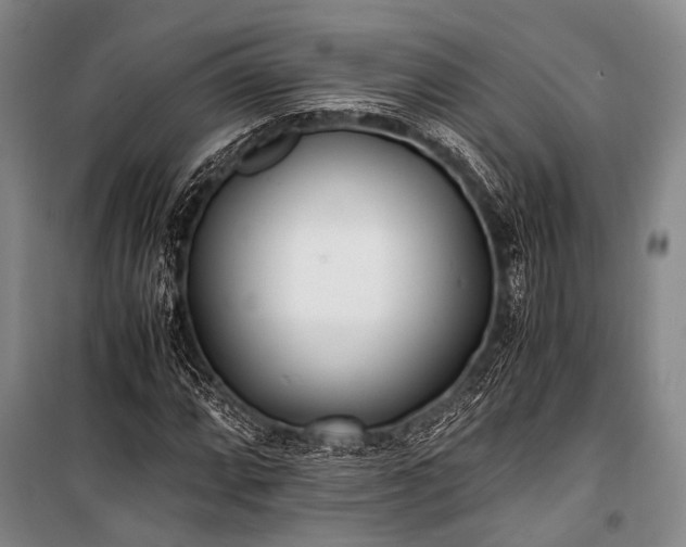 X0000100941064200807011240