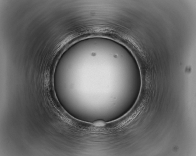 X0000100941065200807011240