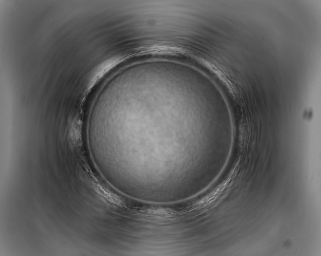 X0000100941066200807011240