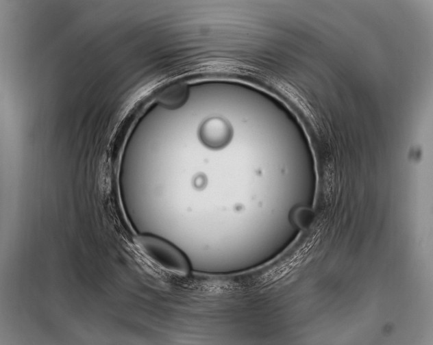 X0000100941067200807011239