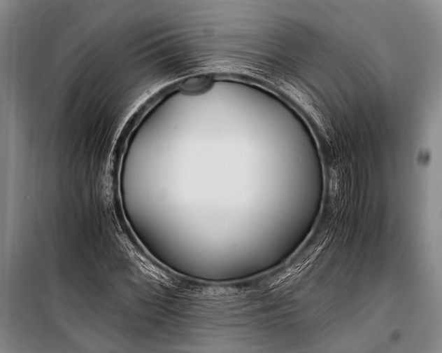 X0000100941068200807011239