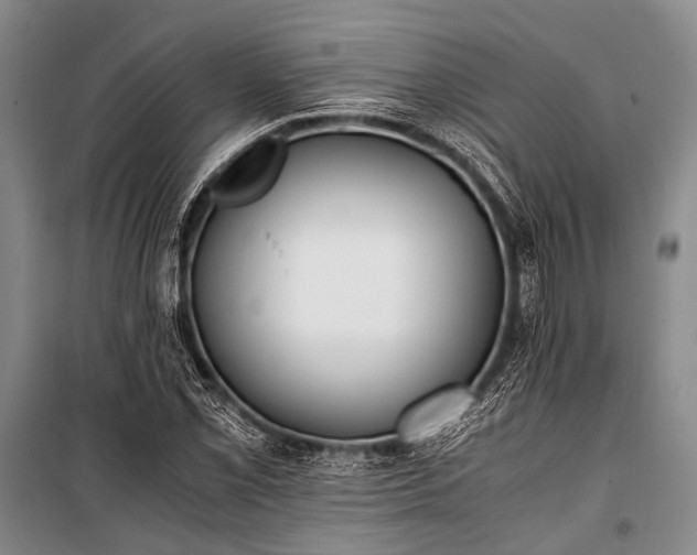 X0000100941069200807011239