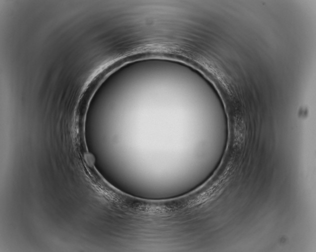 X0000100941070200807011239