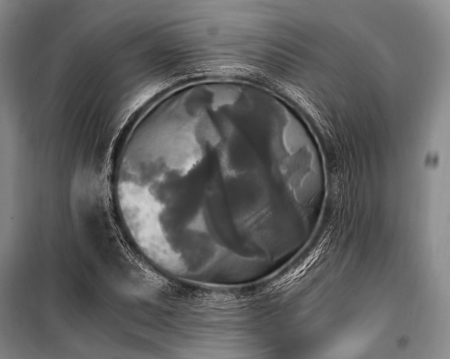 X0000100941071200807011239