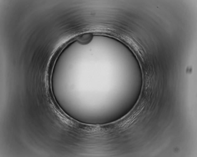 X0000100941072200807011239