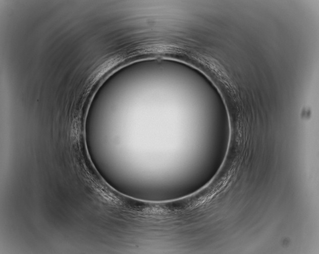 X0000100941073200807011239