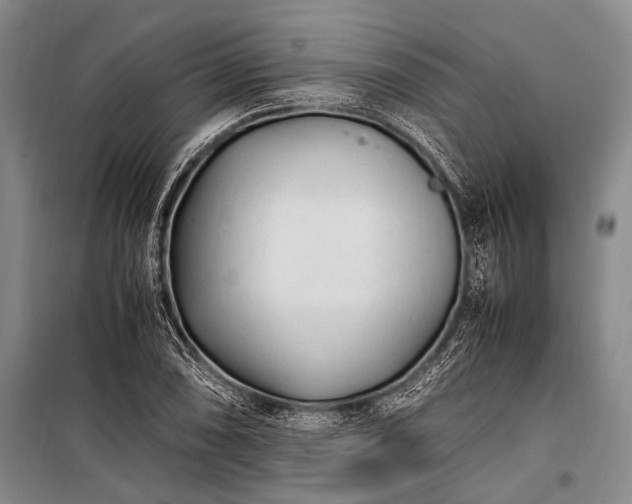 X0000100941074200807011239