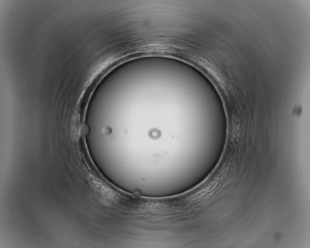 X0000100941075200807011239