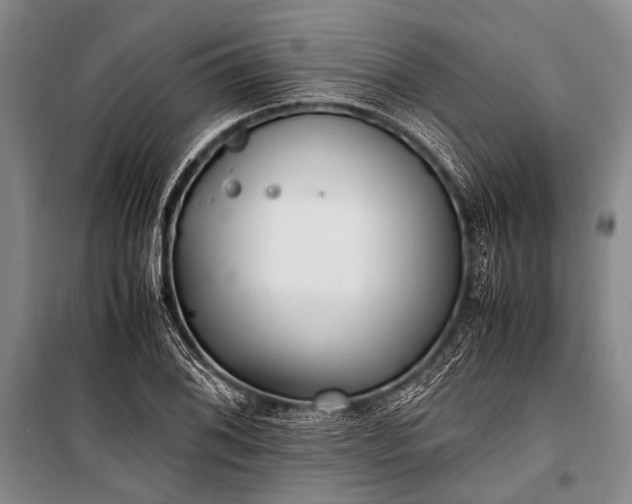 X0000100941076200807011239