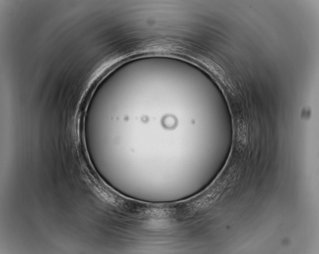 X0000100941078200807011239