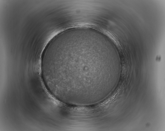 X0000100941079200807011239