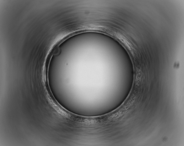 X0000100941080200807011239