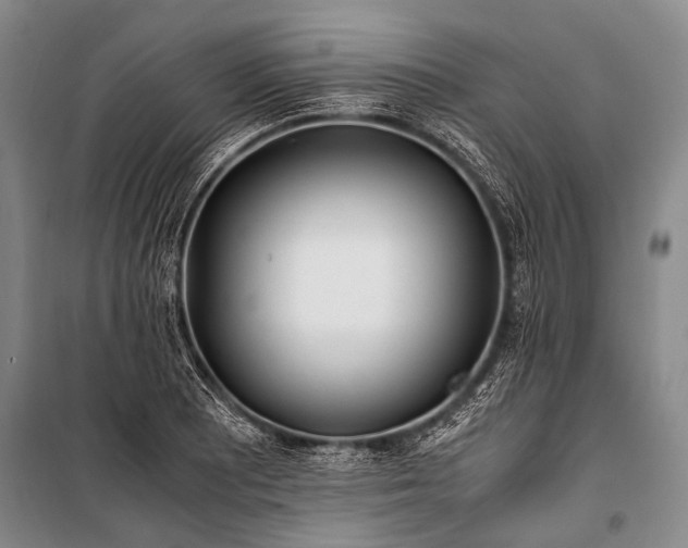 X0000100941081200807011239