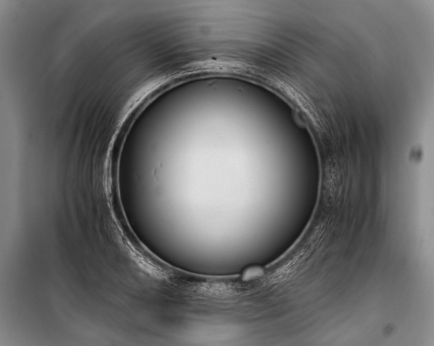 X0000100941082200807011239