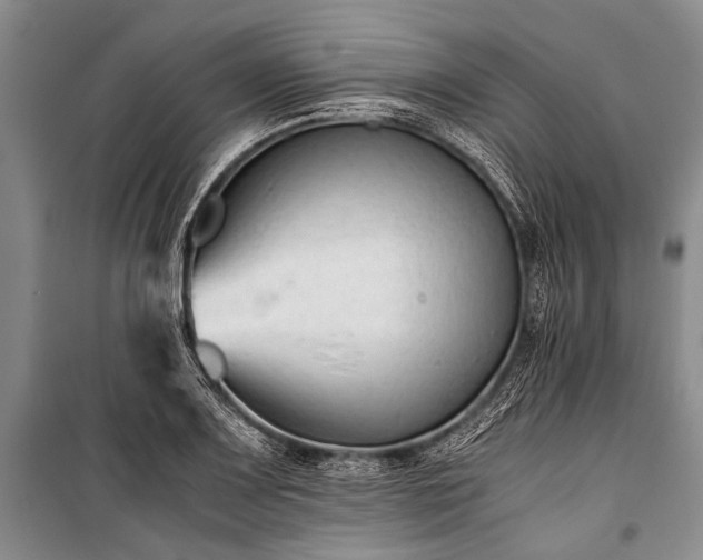 X0000100941083200807011239