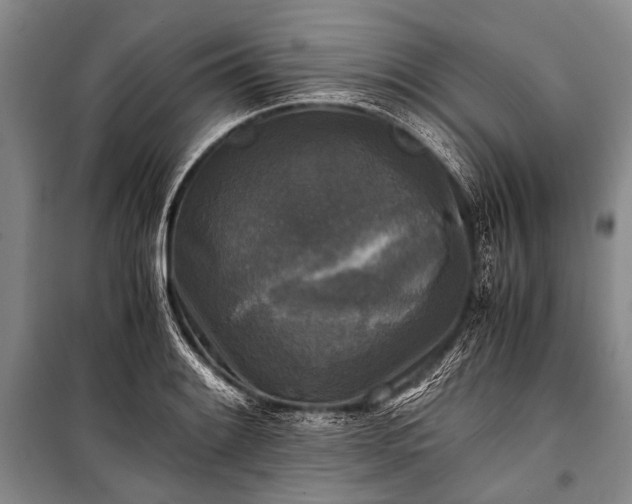 X0000100941084200807011239