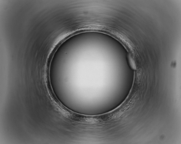 X0000100941085200807011239