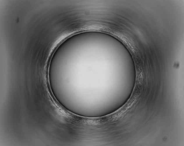 X0000100941086200807011239