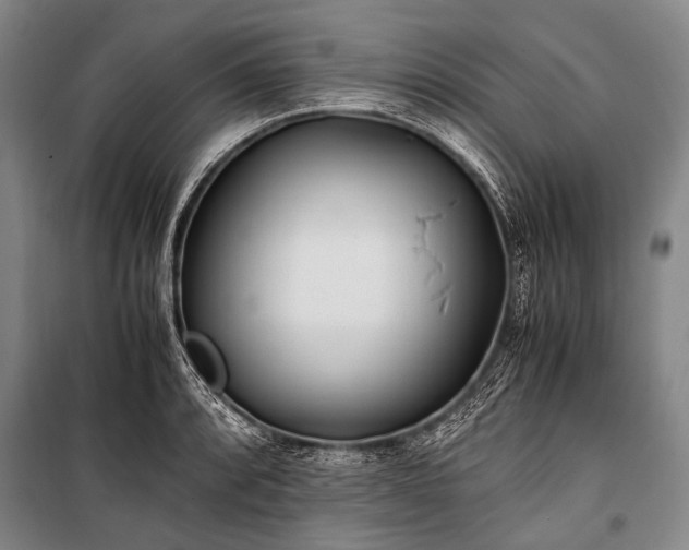 X0000100941088200807011239