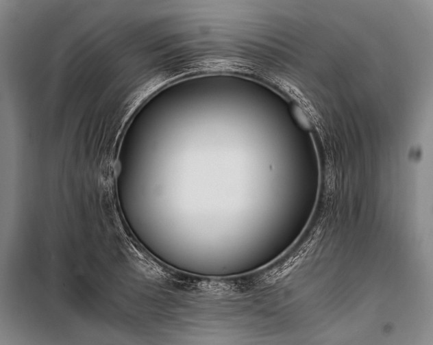 X0000100941089200807011239