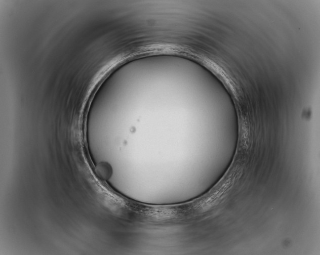 X0000100941090200807011239