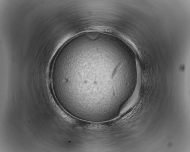 X0000100941091200807011239