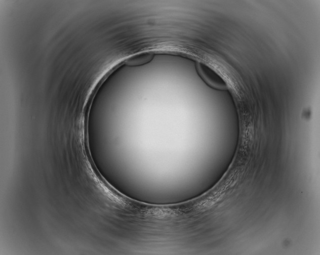 X0000100941092200807011239