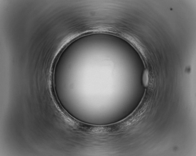 X0000100941093200807011239