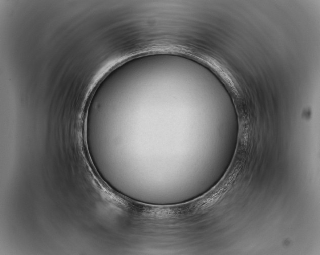 X0000100941094200807011239