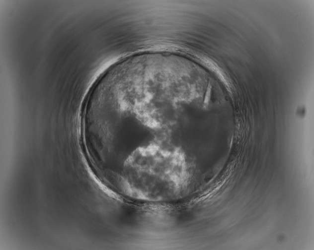 X0000100941095200807011239