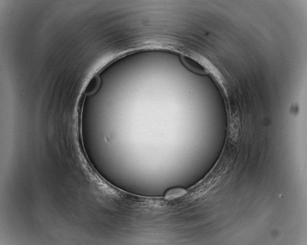 X0000100941096200807011239