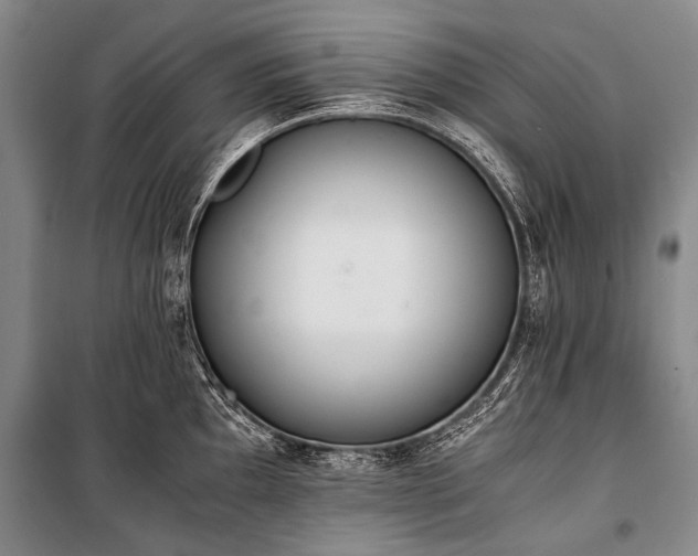 X0000100941097200807011239