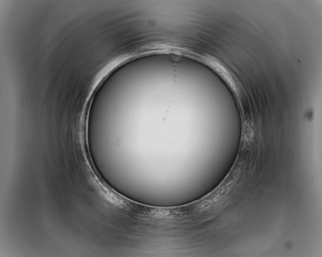 X0000100941098200807011239