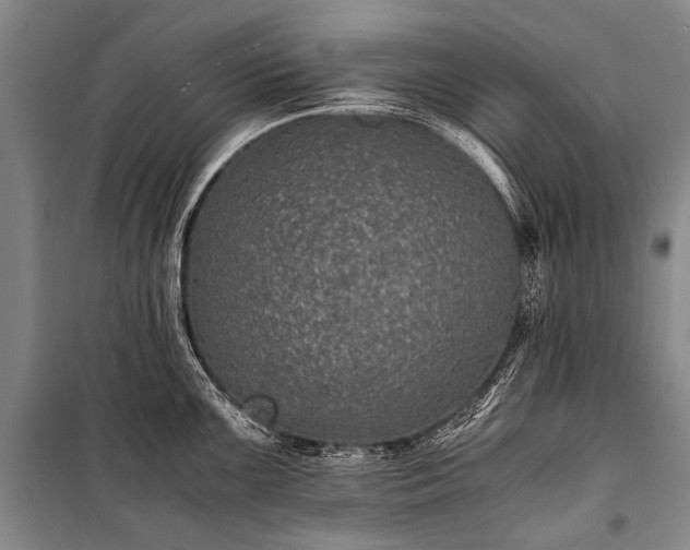 X0000100941099200807011239