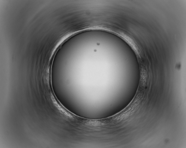 X0000100941100200807011239