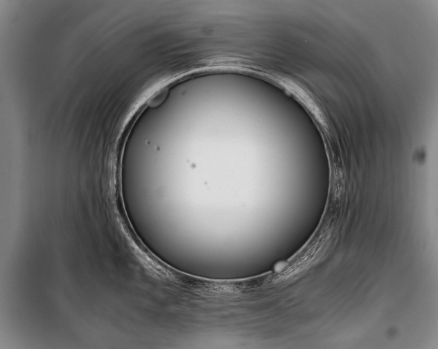 X0000100941101200807011239