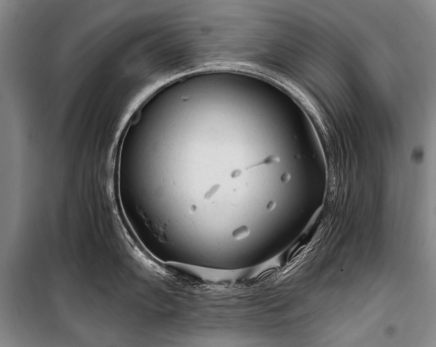 X0000100941102200807011239