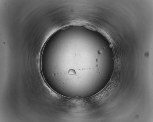 X0000100941103200807011239