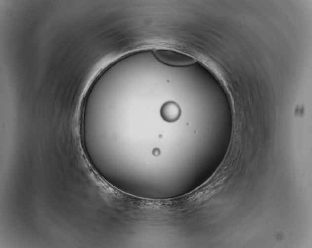 X0000100941104200807011239