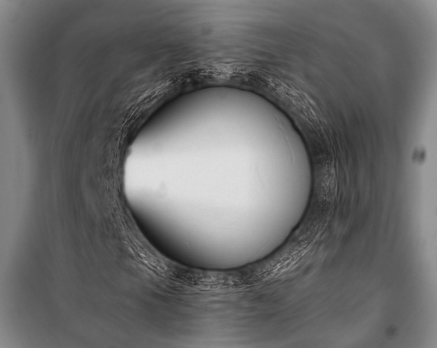 X0000100941105200807011238