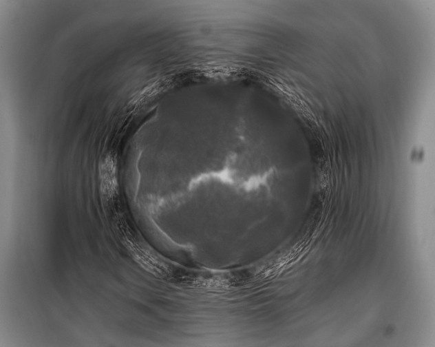 X0000100941106200807011238