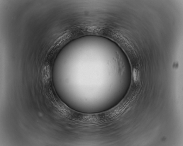 X0000100941107200807011238