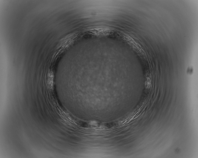 X0000100941108200807011238