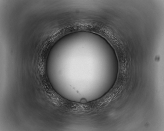 X0000100941109200807011238