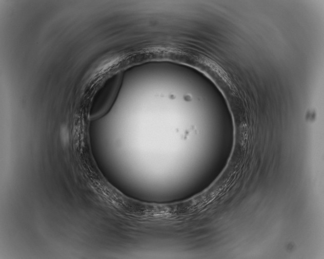 X0000100941111200807011238