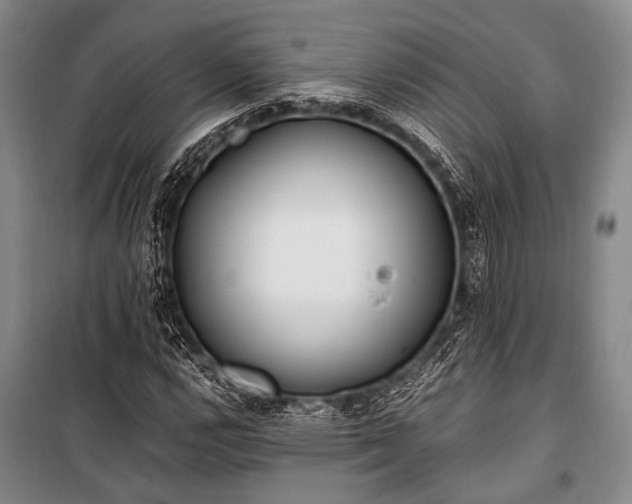 X0000100941112200807011238